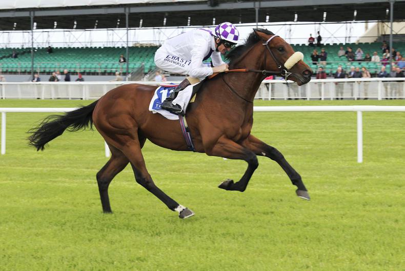 Verbal Dexterity claims National glory for Jim Bolger and Kevin Manning