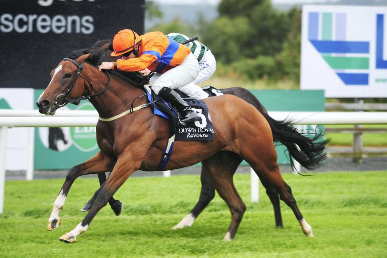 DOWN ROYAL FRIDAY: Long Road rewarded with Nelson victory 