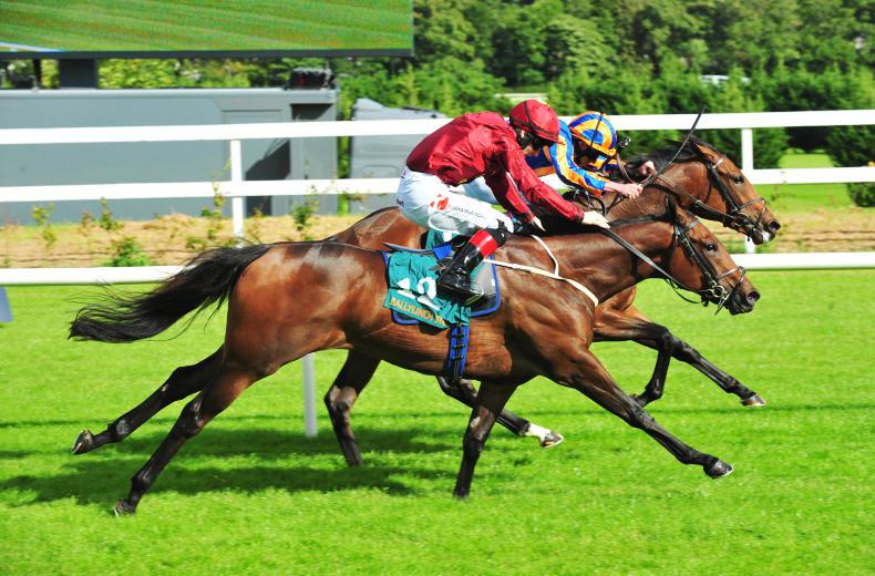 LEOPARDSTOWN SATURDAY: Suedois shines at a mile 