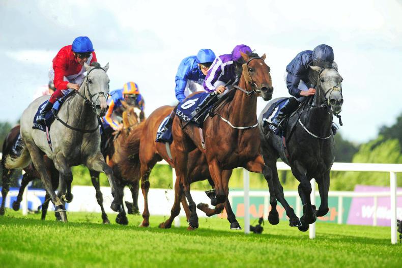 LEOPARDSTOWN SATURDAY: Late blooming Hydrangea holds off Winter 