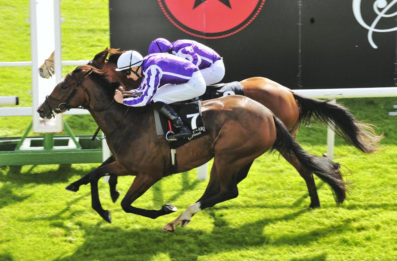 THE CURRAGH SUNDAY: Happy times for O'Brien clan 