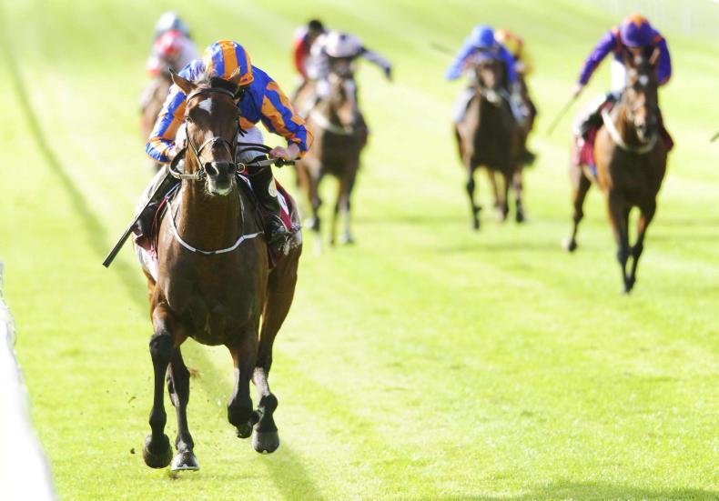THE CURRAGH SUNDAY: Order restored for second St. Leger