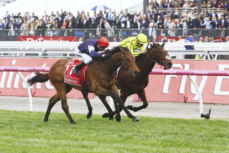 AUSTRALIA: Order Of St George tops weights for Melbourne Cup