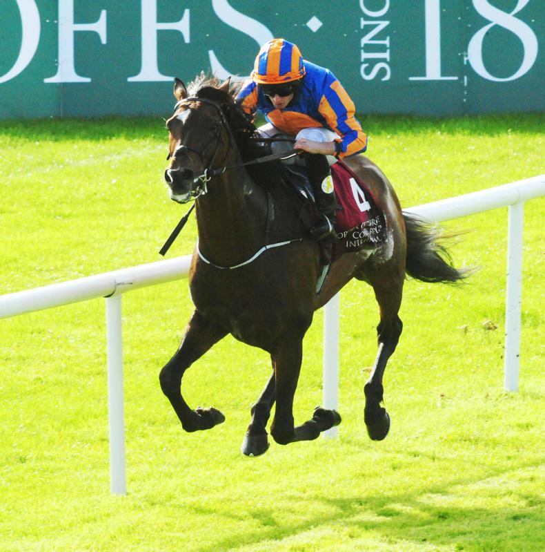 SIMON ROWLANDS: St George tops Champions Order 