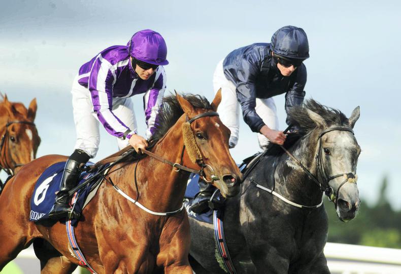 SIMON ROWLANDS: Hydrangea gets lucky but Winter still rules