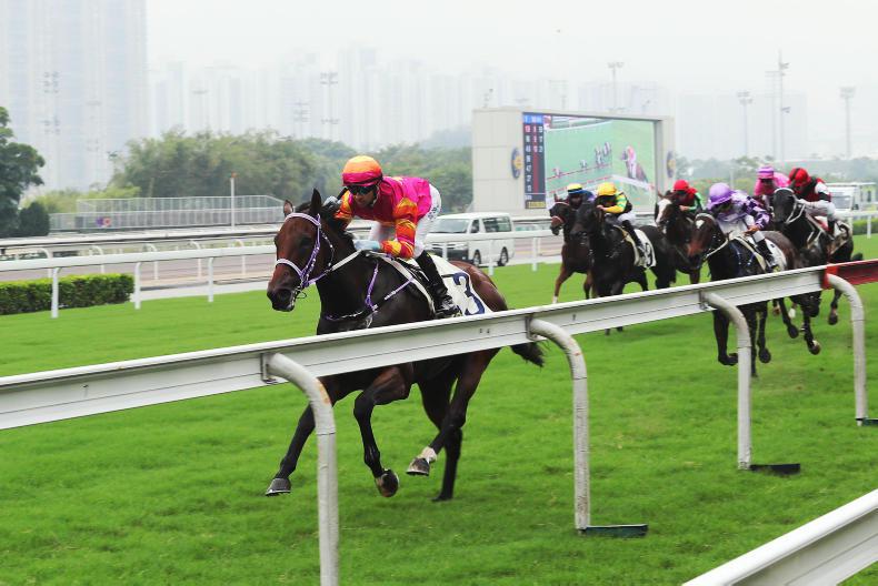 HONG KONG: Expert tips for Sha Tin Saturday selections 