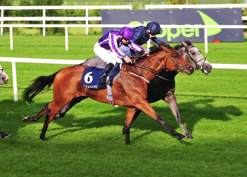 PEDIGREE NOTES: Group 1 four-timer for Galileo