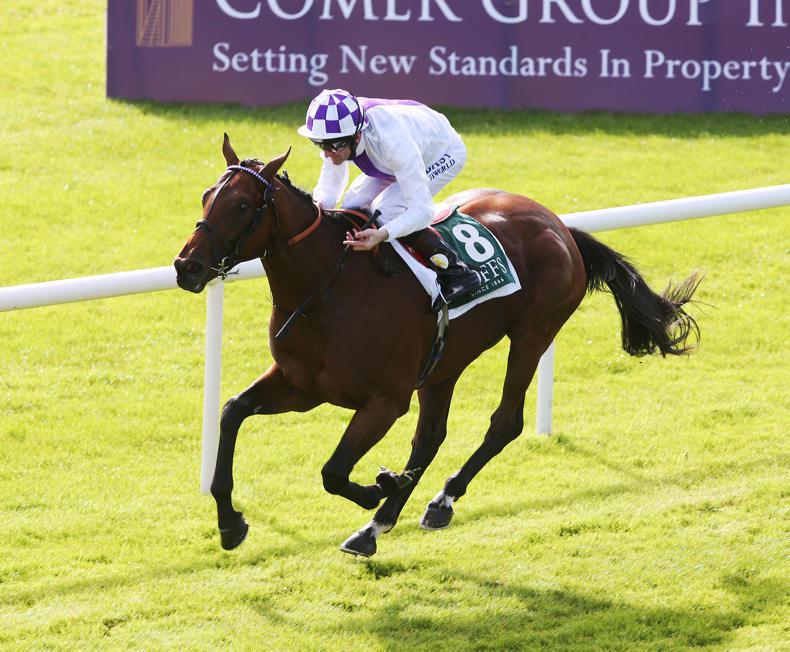 BREEDING INSIGHTS: Three decades of Bolger influence