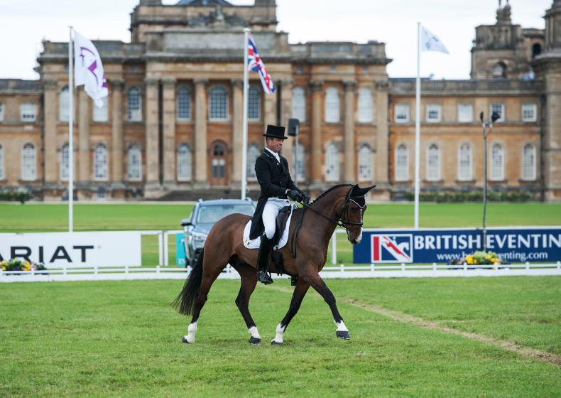 NEWS: Evans best of the Irish at Blenheim 