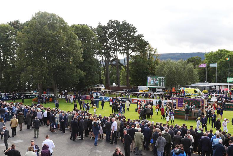 THE WEEK THAT WAS: Did ICW capture the imagination?