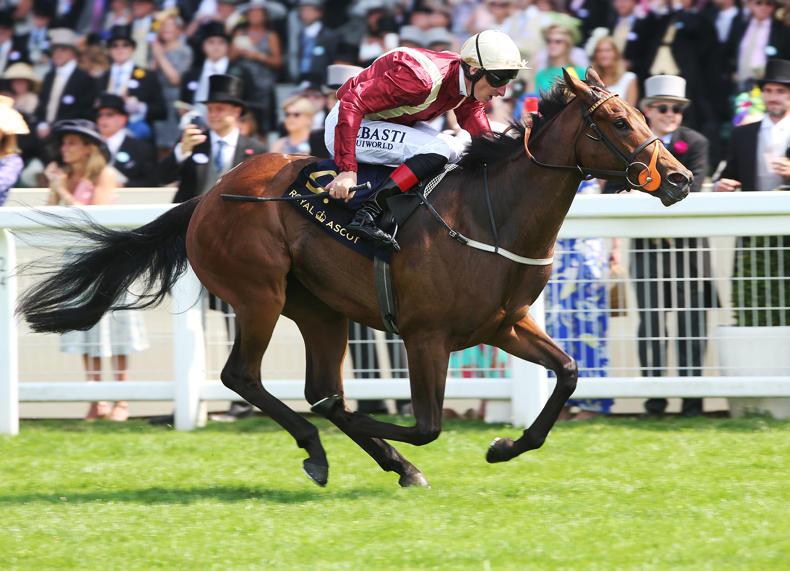 BRITAIN: Heartache looks like another Cox speedster