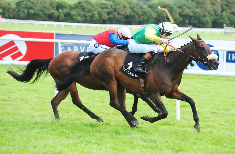 LISTOWEL FRIDAY:  Tip top Ted gets his head in front