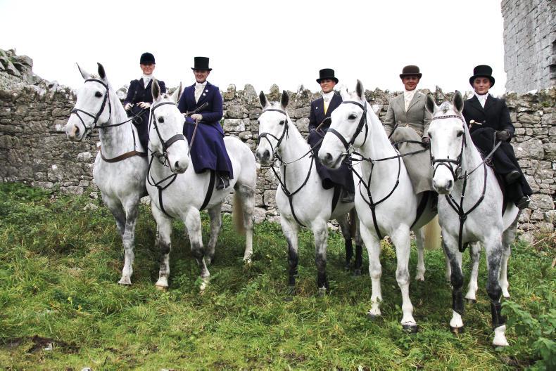 HORSE SENSE HUNTING: Here come the girls