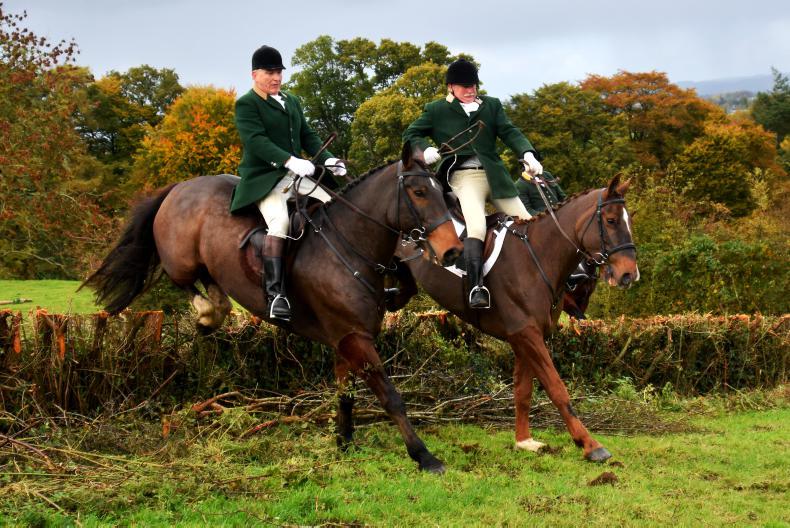 HORSE SENSE HUNTING: Feeding your hunter in preparation for the season