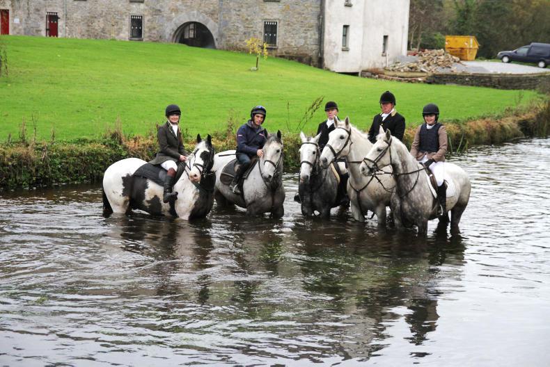 HORSE SENSE HUNTING: Hunting holidays are the best holidays