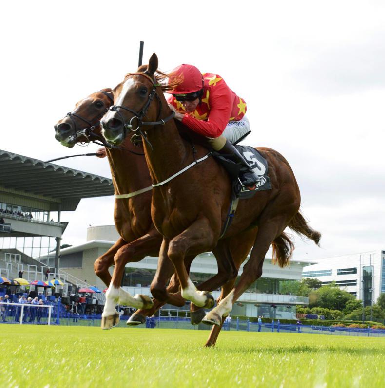 Entries assemble for €120,000 Foran Equine Series Final next month