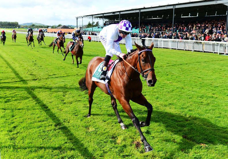 DONN McCLEAN: Dewhurst looks a likely target for Dexterity 