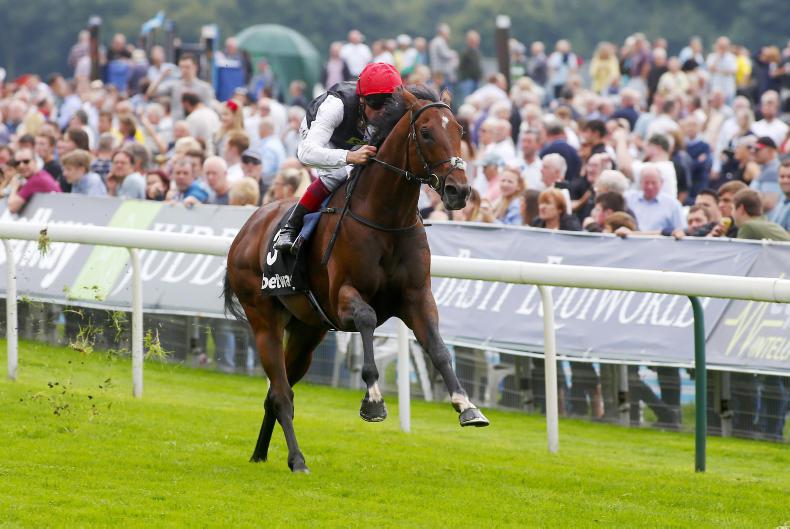 FRANCE: Cracksman impresses but no Arc decision made