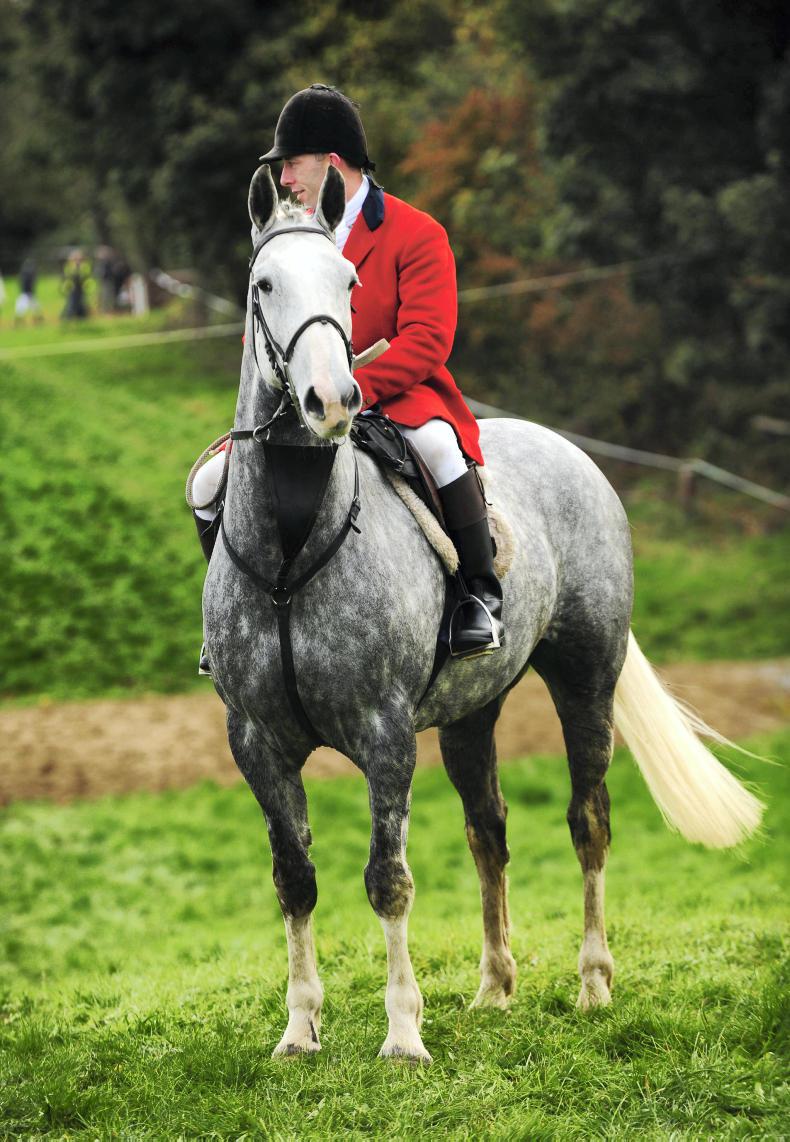 HORSE SENSE HUNTING FEATURE: What people look for in an Irish hunter