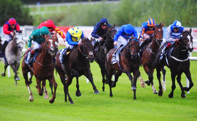 LEOPARDSTOWN SATURDAY: Knight cuts down Champion rivals in a 25/1 shock