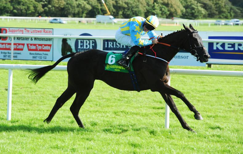 Highland Fling repeats Flat success with jumping glory at Listowel