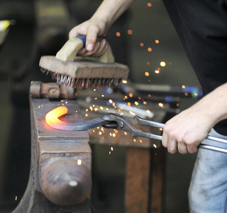 HORSE SENSE HOOFCARE: Irish farrier team announced