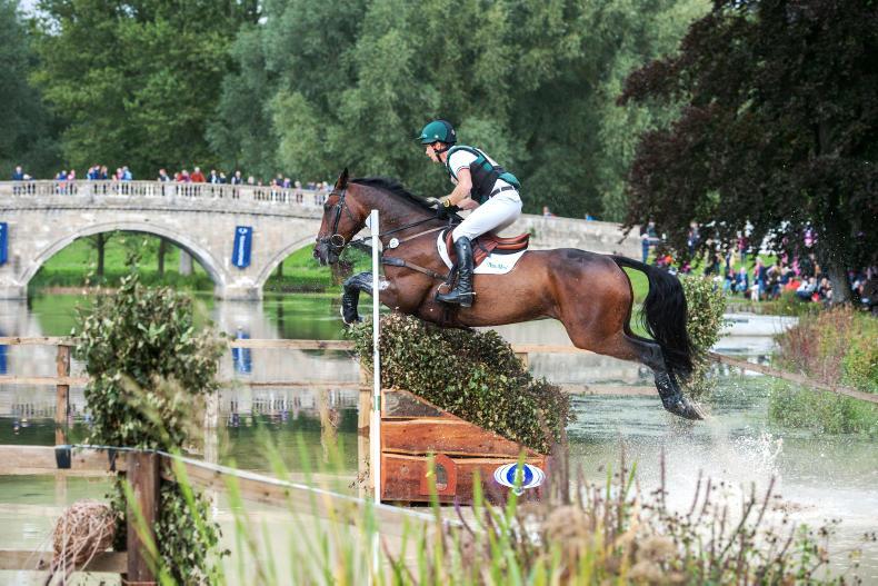 INTERNATIONAL: McCarthy best of Irish at Blenheim