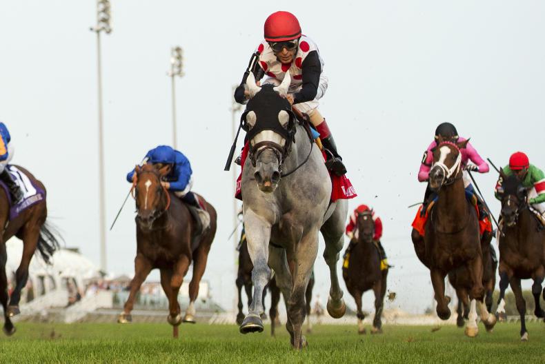 SIMON ROWLANDS: Winx entertains again but is outshone by Humidor