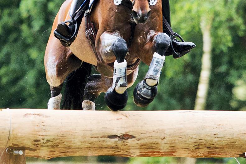 AROUND THE COUNTRY:  Tipperary Foxhounds to hold inaugural hunter show 