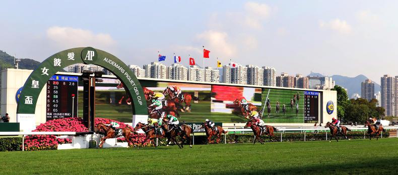 HONG KONG: Expert tips for Sha Tin's Sunday card 