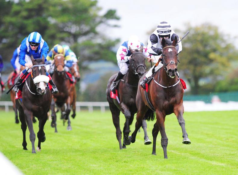 GALWAY TUESDAY: Fitzpatrick joy with Coeur D'Amour 