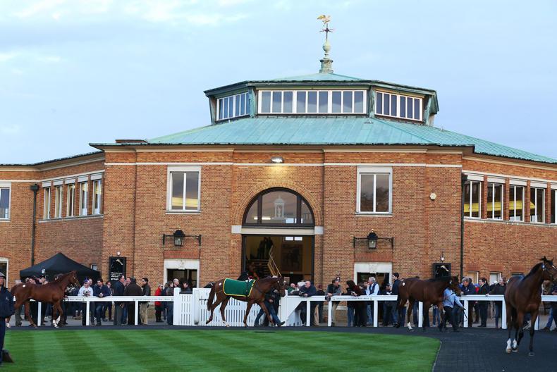 TATTERSALLS HIT SALE: Autumn Sale extended to five days 