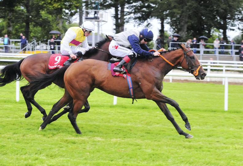 GOWRAN SATURDAY: Laganore back with impressive win 
