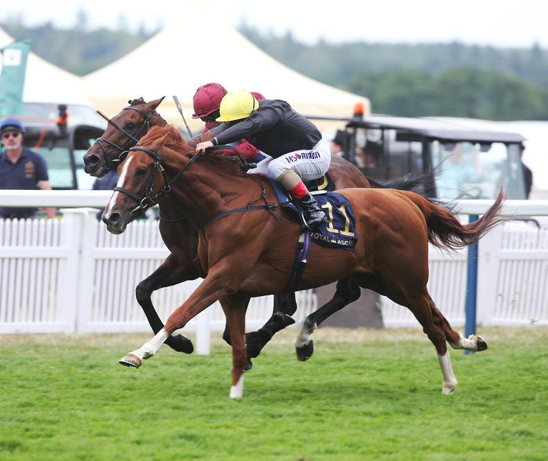 DONN McCLEAN: Future bright for vintage crop of stayers