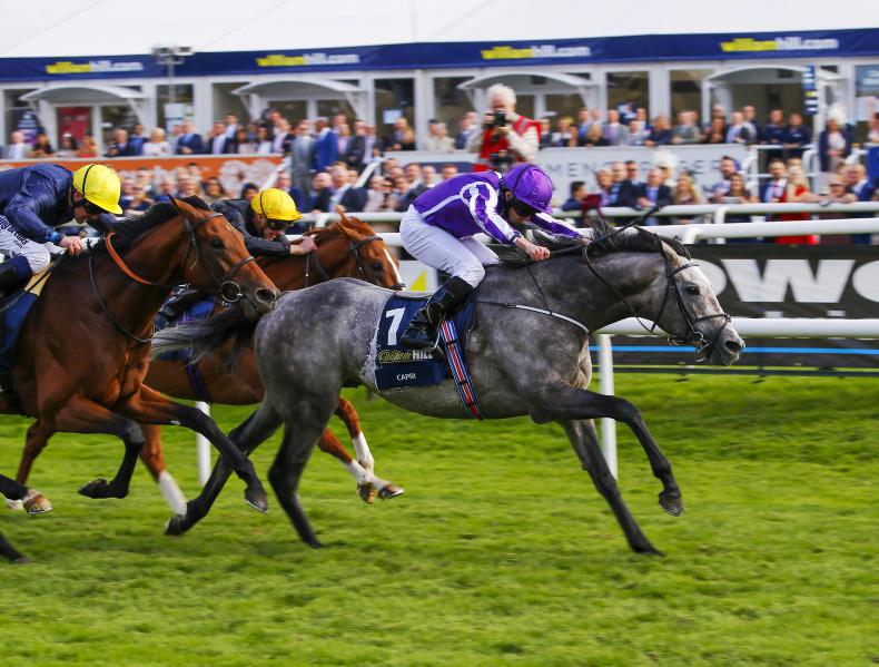 DONN McCLEAN: Capri gets better and better