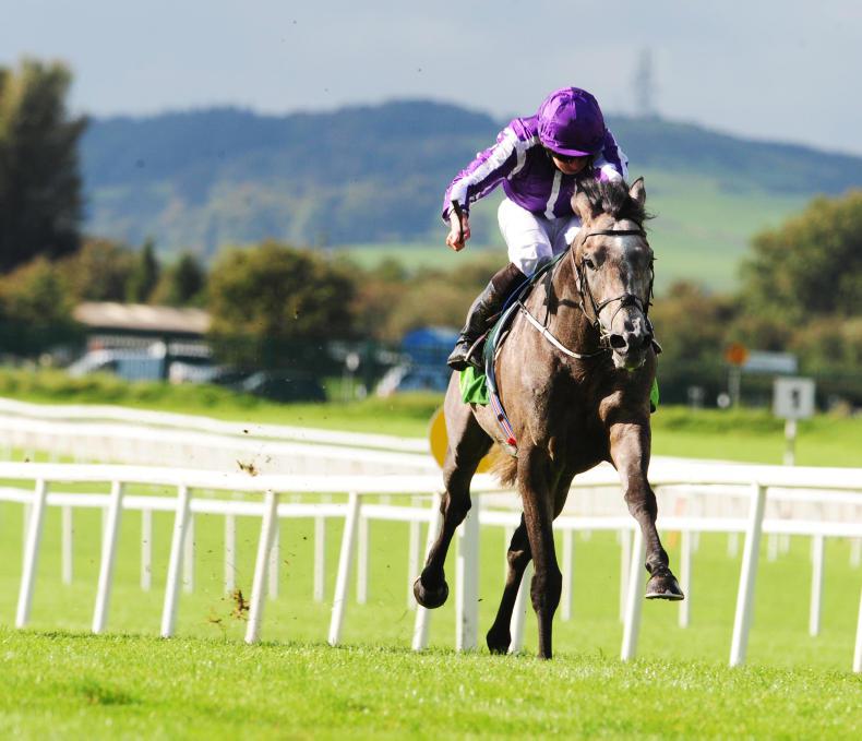 SALES: Galaxy of stars at Newmarket