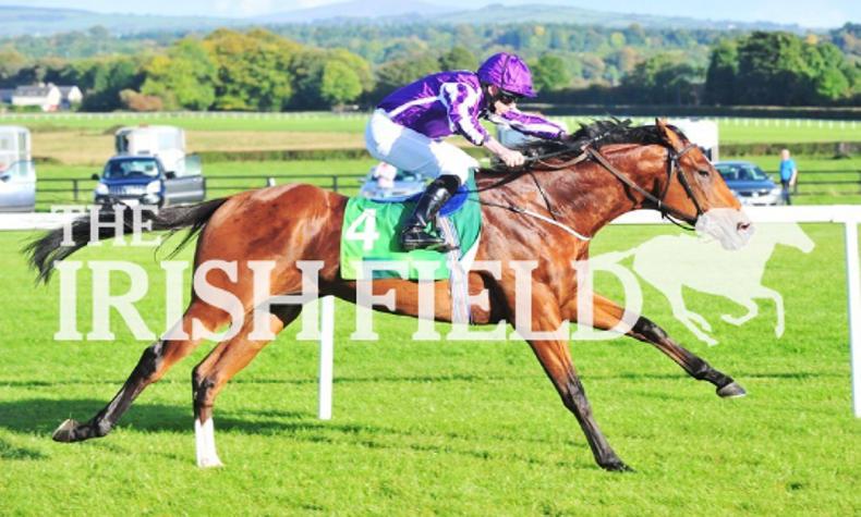 Saxon Warrior stakes his Derby credentials at Naas