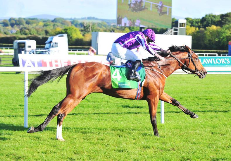 SIMON ROWLANDS: Hold your bets on Saxon Warrior