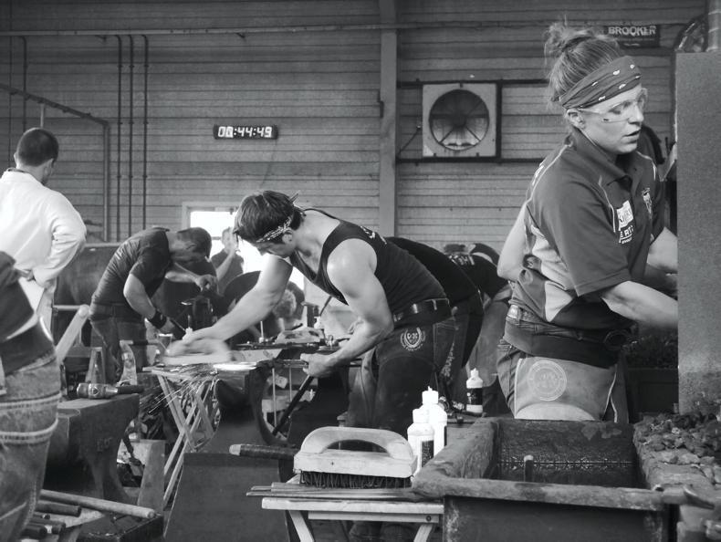 HORSE SENSE: Irish Farriers take to the world stage