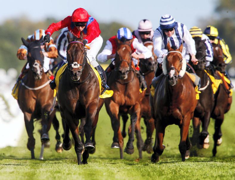 SIMON ROWLANDS: Emaraaty looks group class