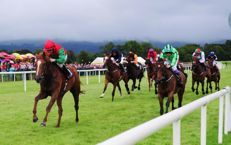 Nothing is now Off Limits for Mastercraftsman mare 