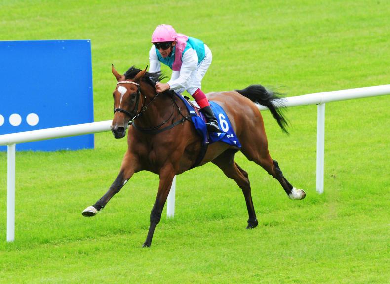 Awesome Enable supplemented for Prix de l'Arc de Triomphe at Chantilly