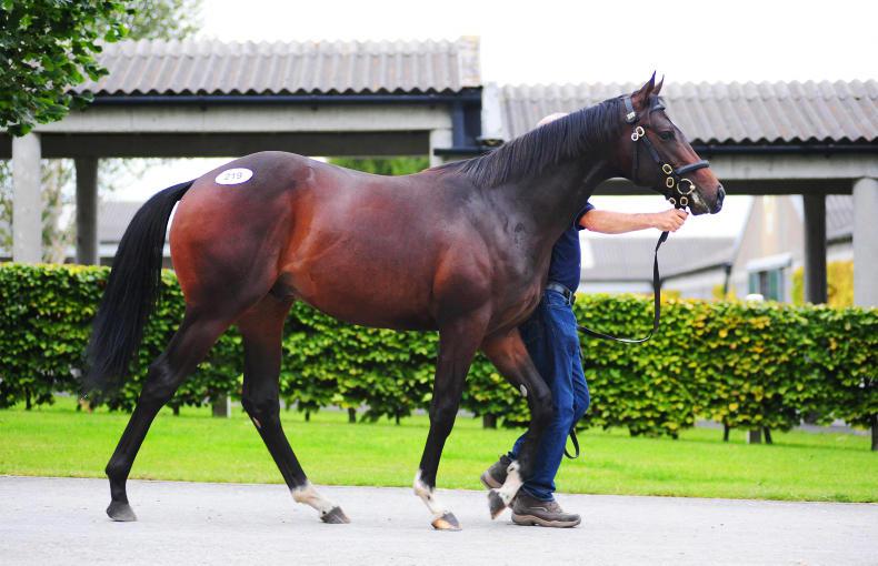 SALES: McCartans sell sale topper by Showcasing