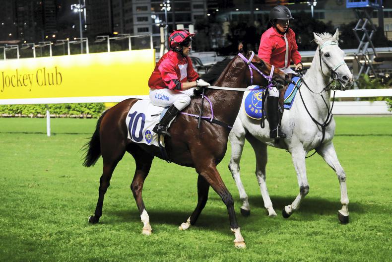 HONG KONG: Callan hit scoreboard with first win