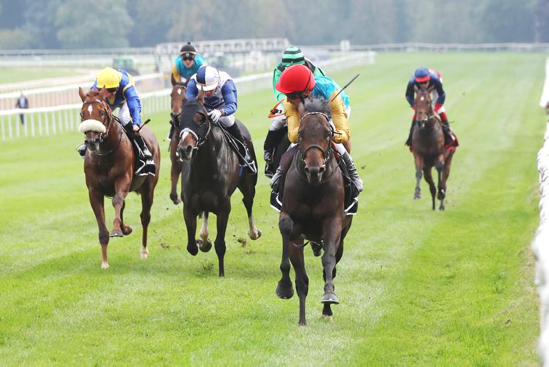 GERMANY: Dschingis connections warm up for Arc bid with Group 1 win