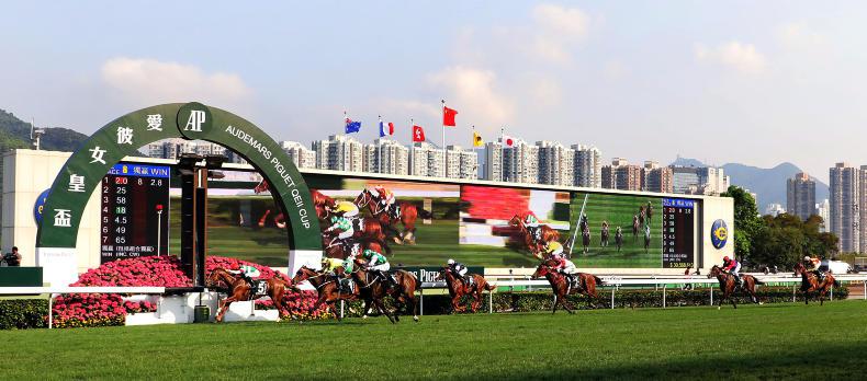 HONG KONG: Expert tip's for Sha Tin's Sunday card 