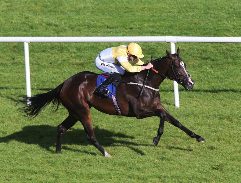 MARGIE McLOONE: Mills gives Martin Harley his 50th win