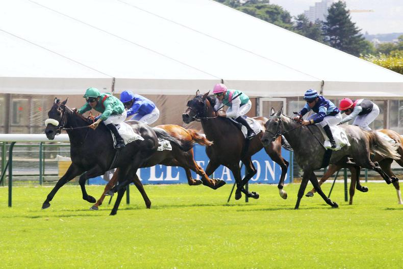 FRENCH PREVIEW: Vazirabad can go one better in Cadran