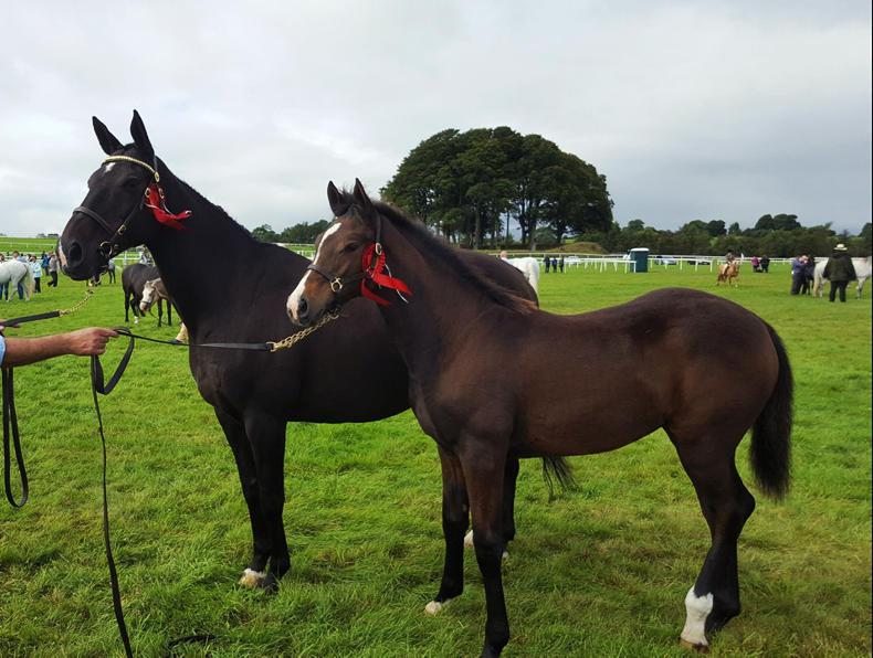 PONY TALES:   Winner alright...