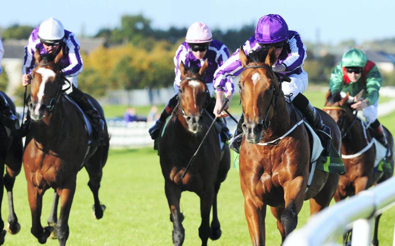 NAAS SUNDAY: Saxon Warrior continues O'Brien's Beresford 